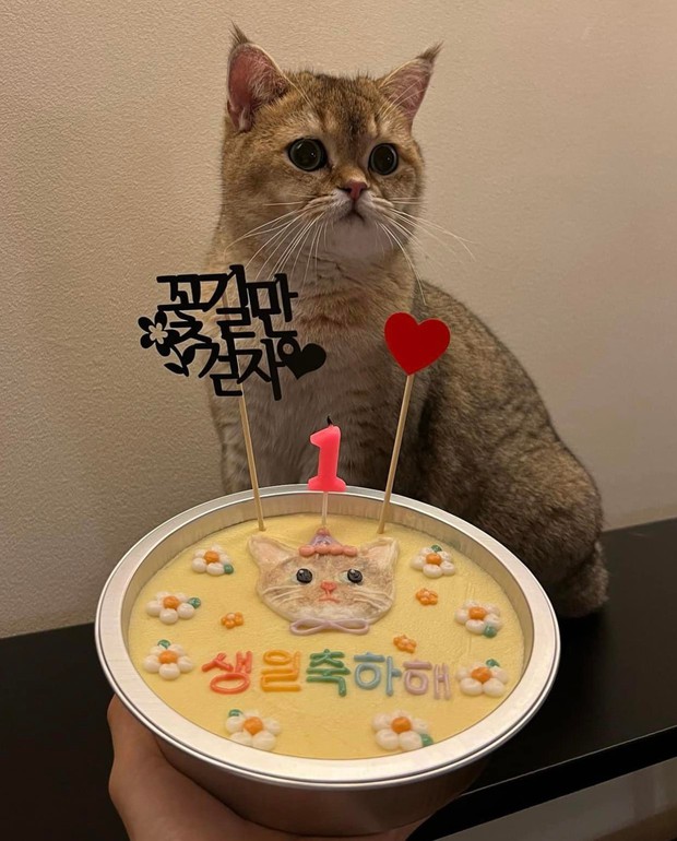 Jennie tiếp xúc với TWICE, Jisoo đi gặp bạn thân nhưng bí ẩn nhất là lịch trình của Lisa trước khi dương tính COVID-19 - Ảnh 11. Jennie tiếp xúc với TWICE, Jisoo đi gặp bạn thân nhưng bí ẩn nhất là lịch trình của Lisa trước khi dương tính COVID-19 - Ảnh 11.