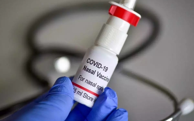 Nga không ghi nhận tác dụng phụ đáng kể nào từ thử nghiệm vaccine Covid-19 dạng xịt mũi - Ảnh 1. Nga không ghi nhận tác dụng phụ đáng kể nào từ thử nghiệm vaccine Covid-19 dạng xịt mũi - Ảnh 1.