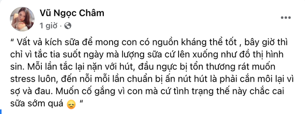 Sau biệt thự hào môn, mẹ bỉm Đàm Thu Trang từng muốn khóc nhưng chịu đựng để làm điều này cho con? - Ảnh 2.