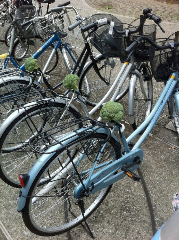 Ăn trộm hàng loạt yên xe đạp rồi cắm bông cải xanh vào khiến chủ xe ức chế không làm gì nổi - Ảnh 2.