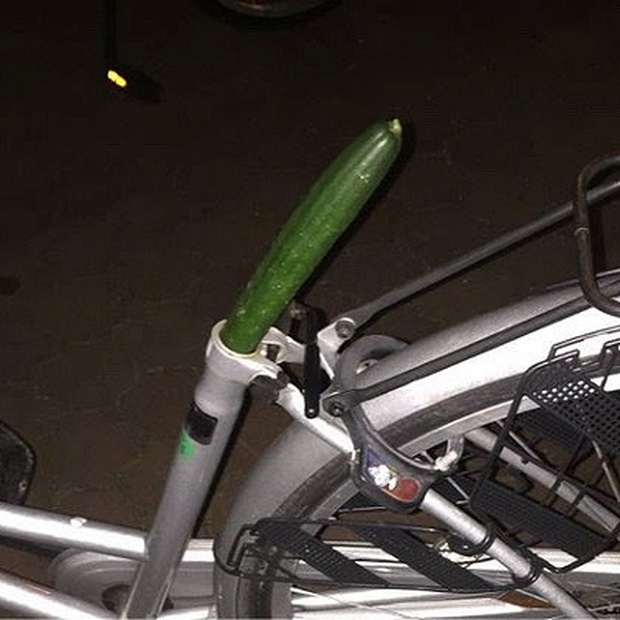 Ăn trộm hàng loạt yên xe đạp rồi cắm bông cải xanh vào khiến chủ xe ức chế không làm gì nổi - Ảnh 3.