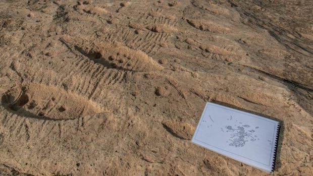 Giải mã bức chạm khắc bí ẩn trên sa mạc tại Qatar - Ảnh 2.