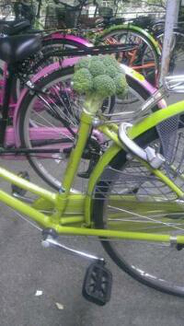 Ăn trộm hàng loạt yên xe đạp rồi cắm bông cải xanh vào khiến chủ xe ức chế không làm gì nổi - Ảnh 4.