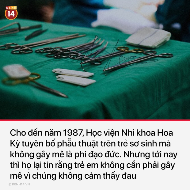 15 sự thật thú vị và rùng rợn sẽ làm bạn có cái nhìn mới mẻ về thế giới quanh mình - Ảnh 10. 15 sự thật thú vị và rùng rợn sẽ làm bạn có cái nhìn mới mẻ về thế giới quanh mình - Ảnh 10.
