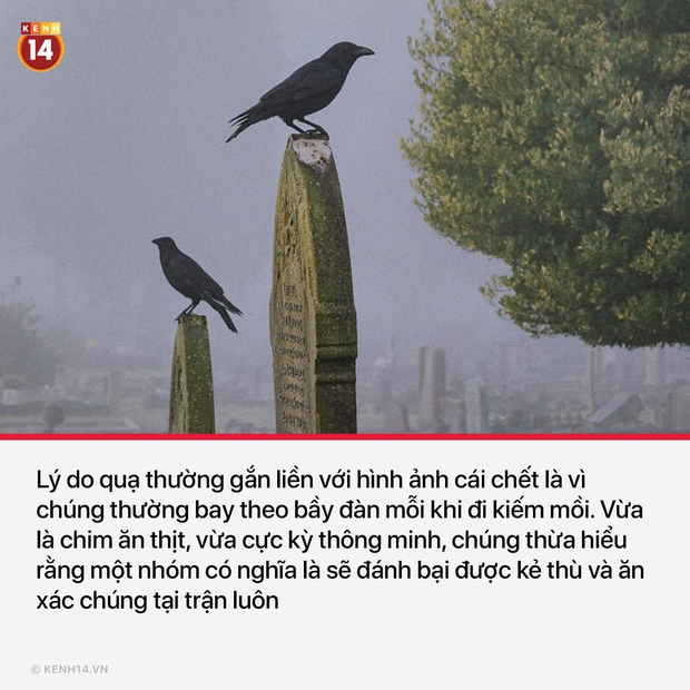 15 sự thật thú vị và rùng rợn sẽ làm bạn có cái nhìn mới mẻ về thế giới quanh mình - Ảnh 2. 15 sự thật thú vị và rùng rợn sẽ làm bạn có cái nhìn mới mẻ về thế giới quanh mình - Ảnh 2.