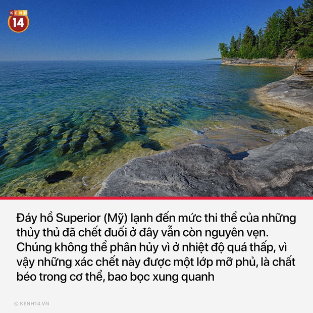 15 sự thật thú vị và rùng rợn sẽ làm bạn có cái nhìn mới mẻ về thế giới quanh mình - Ảnh 5. 15 sự thật thú vị và rùng rợn sẽ làm bạn có cái nhìn mới mẻ về thế giới quanh mình - Ảnh 5.