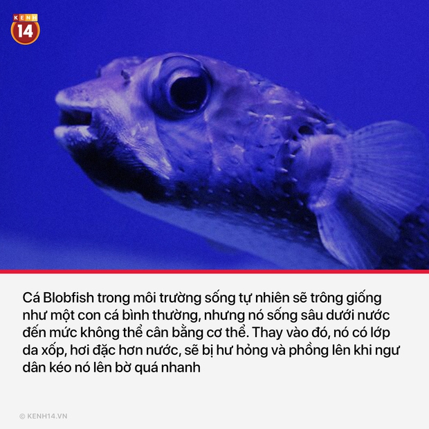 15 sự thật thú vị và rùng rợn sẽ làm bạn có cái nhìn mới mẻ về thế giới quanh mình - Ảnh 6. 15 sự thật thú vị và rùng rợn sẽ làm bạn có cái nhìn mới mẻ về thế giới quanh mình - Ảnh 6.