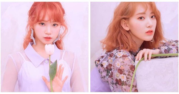 Chảo lửa nhan sắc nhóm nữ Gen 4: aespa và ITZY có đủ sức kèn cựa em gái BTS và BLACKPINK không? - Ảnh 15. Chảo lửa nhan sắc nhóm nữ Gen 4: aespa và ITZY có đủ sức kèn cựa em gái BTS và BLACKPINK không? - Ảnh 15.