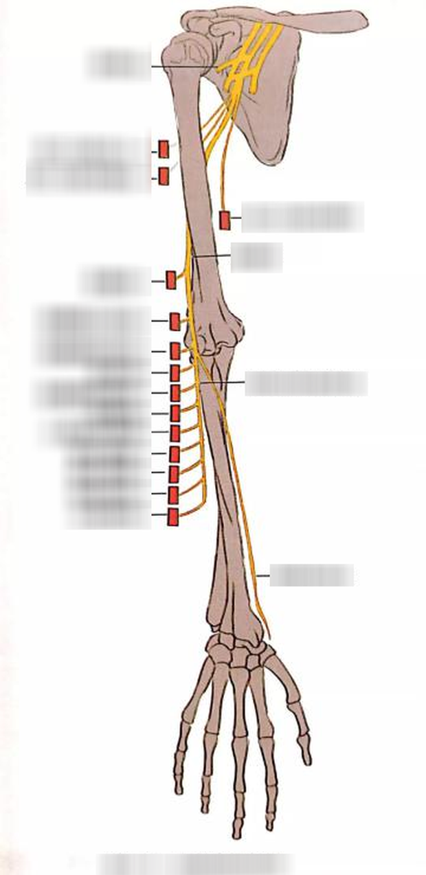 Nam sinh viên mới 22 tuổi đã bị tê liệt một bên cánh tay do thói quen xấu mà rất nhiều người trẻ mắc phải - Ảnh 2.