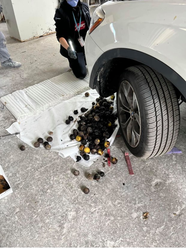 Đi ô tô thấy động cơ có tiếng động lạ, mang ra tiệm thì chủ xe tá hoả vì đã “cướp” nhầm cả một gia tài - Ảnh 1. Đi ô tô thấy động cơ có tiếng động lạ, mang ra tiệm thì chủ xe tá hoả vì đã “cướp” nhầm cả một gia tài - Ảnh 1.