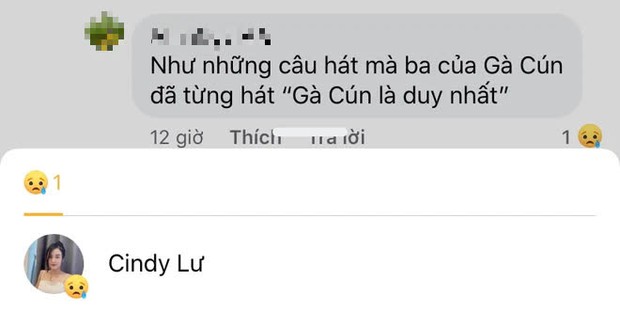 Hoài Lâm bị trách vì công khai bạn gái dịp sinh nhật con, Cindy Lư nói gì? - Ảnh 5.