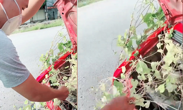 Đi ô tô thấy động cơ có tiếng động lạ, mang ra tiệm thì chủ xe tá hoả vì đã “cướp” nhầm cả một gia tài - Ảnh 5. Đi ô tô thấy động cơ có tiếng động lạ, mang ra tiệm thì chủ xe tá hoả vì đã “cướp” nhầm cả một gia tài - Ảnh 5.