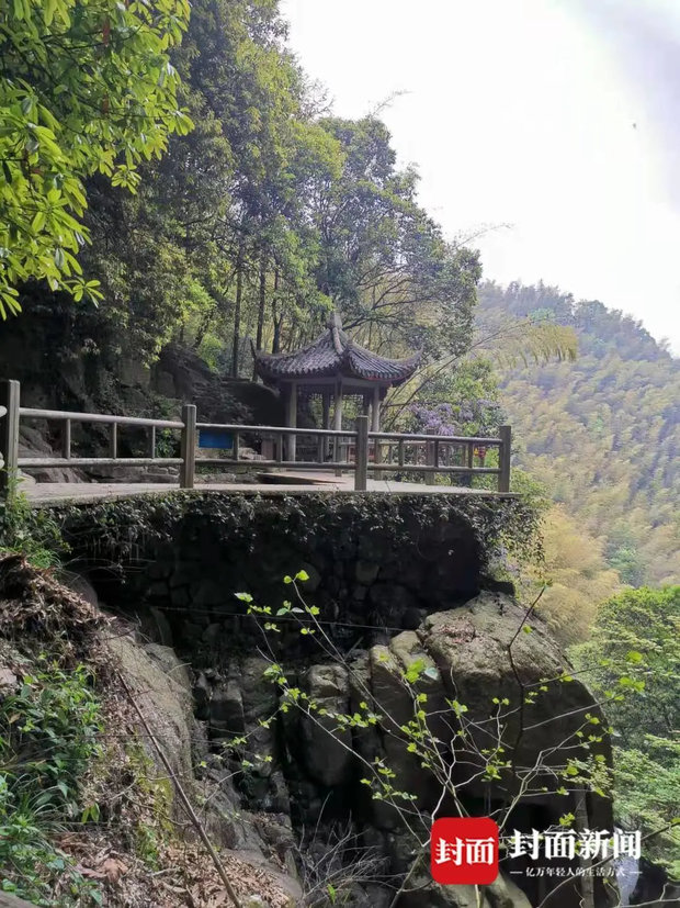 Bà mẹ bị người qua đường đẩy xuống vách đá khi cho con tiểu bậy ở khu thắng cảnh, phán quyết của tòa án khiến nhiều người bật ngửa - Ảnh 1.