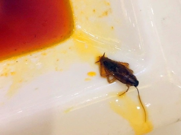 Khuyến mãi gián trong bữa ăn, chủ nhà hàng còn nói thêm 1 câu khiến thực khách nổi đóa - Ảnh 1.