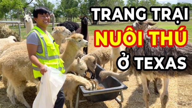 Nghi vấn triệu phú Vương Phạm từng bị Johnny Đặng coi thường, gọi là “thằng YouTuber cùi bắp” dù sở hữu khối tài sản kếch xù - Ảnh 4. Nghi vấn triệu phú Vương Phạm từng bị Johnny Đặng coi thường, gọi là “thằng YouTuber cùi bắp” dù sở hữu khối tài sản kếch xù - Ảnh 4.