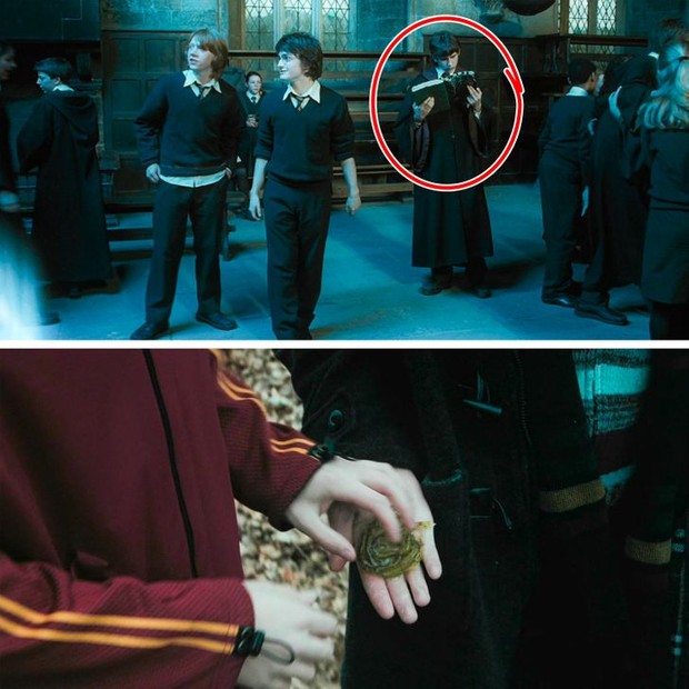 10 chi tiết ở Harry Potter dễ bị bỏ qua, thực chất có ý nghĩa quá sâu xa: Hermione thông minh không tưởng, nhà Dursley liên tục tấu hài! - Ảnh 7.