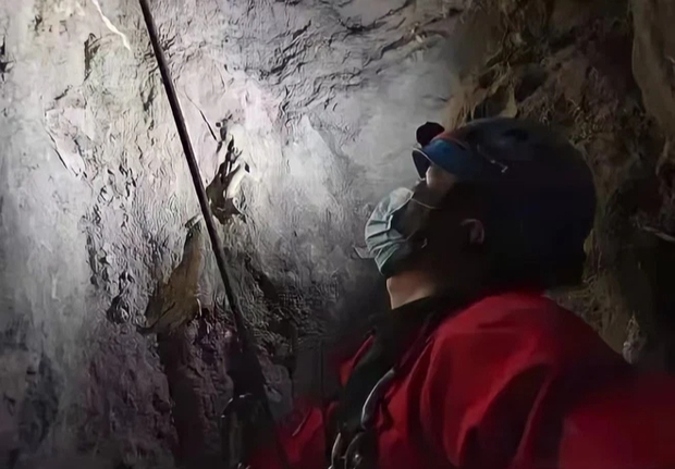 Stuck in a cave, the dog who lived underground for 6 years was forgotten by everyone, the time zone difference when rescued made everyone feel sad - Photo 4.