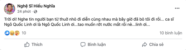 Ca sĩ Ngô Quốc Linh qua đời - Ảnh 3.