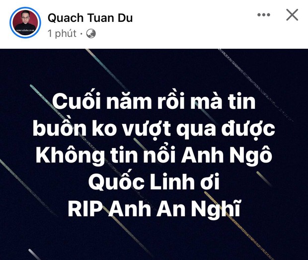 Ca sĩ Ngô Quốc Linh qua đời - Ảnh 5.