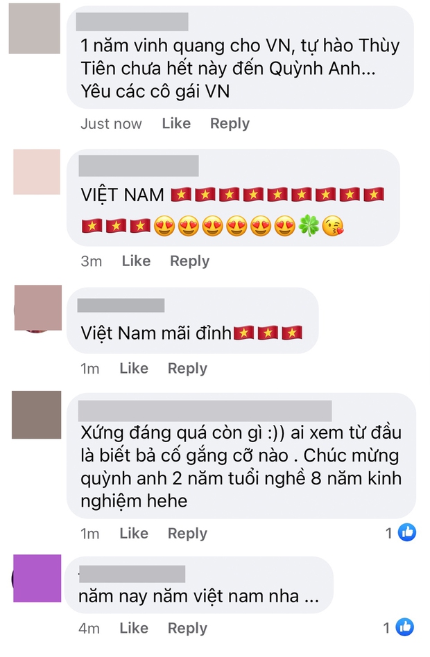 Netizen Việt nức mũi tự hào khi Quỳnh Anh thành Quán quân Siêu Mẫu Châu Á: Năm nay là năm của Việt Nam! - Ảnh 4.