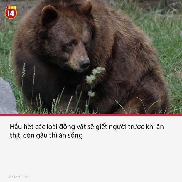 15 sự thật thú vị nhưng vô cùng ám ảnh, thể hiện mặt tối thực tại đang diễn ra từng phút trên hành tinh này - Ảnh 9. 15 sự thật thú vị nhưng vô cùng ám ảnh, thể hiện mặt tối thực tại đang diễn ra từng phút trên hành tinh này - Ảnh 9.