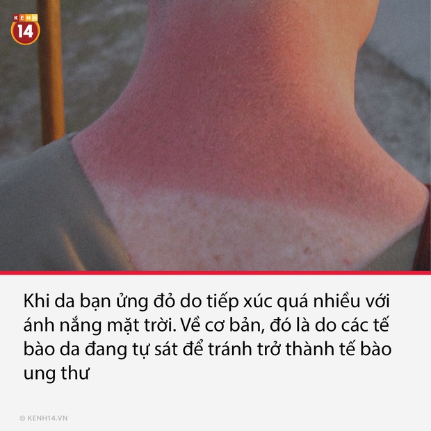 15 sự thật thú vị nhưng vô cùng ám ảnh, thể hiện mặt tối thực tại đang diễn ra từng phút trên hành tinh này - Ảnh 3. 15 sự thật thú vị nhưng vô cùng ám ảnh, thể hiện mặt tối thực tại đang diễn ra từng phút trên hành tinh này - Ảnh 3.