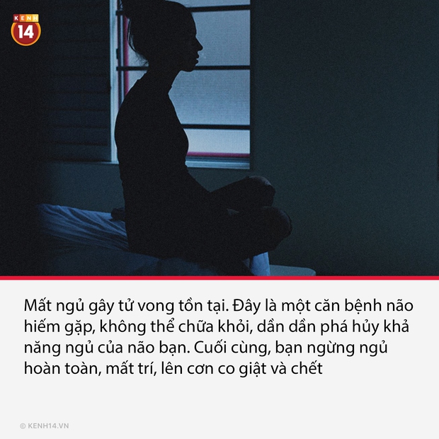 15 sự thật thú vị nhưng vô cùng ám ảnh, thể hiện mặt tối thực tại đang diễn ra từng phút trên hành tinh này - Ảnh 6. 15 sự thật thú vị nhưng vô cùng ám ảnh, thể hiện mặt tối thực tại đang diễn ra từng phút trên hành tinh này - Ảnh 6.