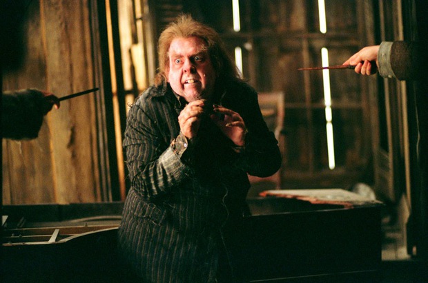 Sự thật sau 4 cái chết đau khổ nhất Harry Potter: Có người bị giết dã man làm tác giả phải xin lỗi, nhân vật cuối khiến nhiều fan ám ảnh! - Ảnh 3.