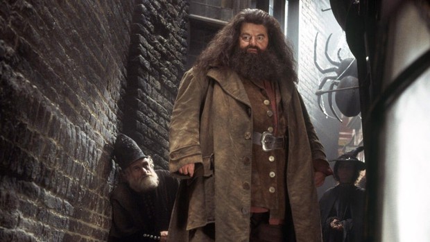 5 sự thật về thế giới Harry Potter mãi về sau fan mới biết: Một cặp đôi đình đám đã chia tay, xót xa nhất cuộc đời bác Hagrid! - Ảnh 4.