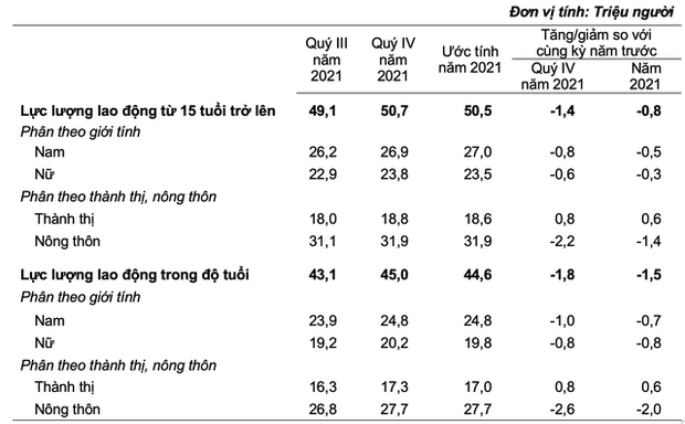 Biến động thu nhập lao động Việt Nam năm 2021: Bình quân quý 4 đạt 6,1 triệu đồng/tháng, vậy cả năm tăng hay giảm? - Ảnh 2. Biến động thu nhập lao động Việt Nam năm 2021: Bình quân quý 4 đạt 6,1 triệu đồng/tháng, vậy cả năm tăng hay giảm? - Ảnh 2.