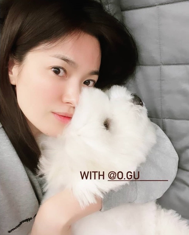 Giữa lúc Song Joong Ki nhận tin dữ, Song Hye Kyo gây tranh cãi vì 1 hành động trên trang cá nhân - Ảnh 3.