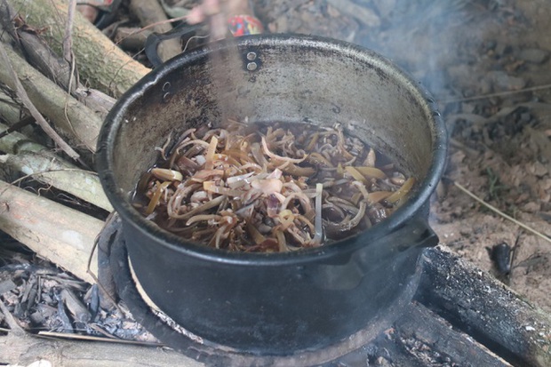 Bố thần kinh, mẹ bỏ đi biệt tích, hai đứa trẻ sống ở bìa rừng ăn hoa chuối thay cơm - Ảnh 2. Bố thần kinh, mẹ bỏ đi biệt tích, hai đứa trẻ sống ở bìa rừng ăn hoa chuối thay cơm - Ảnh 2.