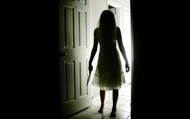 Vụ án sát nhân hàng loạt khiến cảnh sát Đức mất 16 năm truy lùng, để rồi nhận về một kết cục nực cười và đáng xấu hổ nhất lịch sử phá án - Ảnh 2.