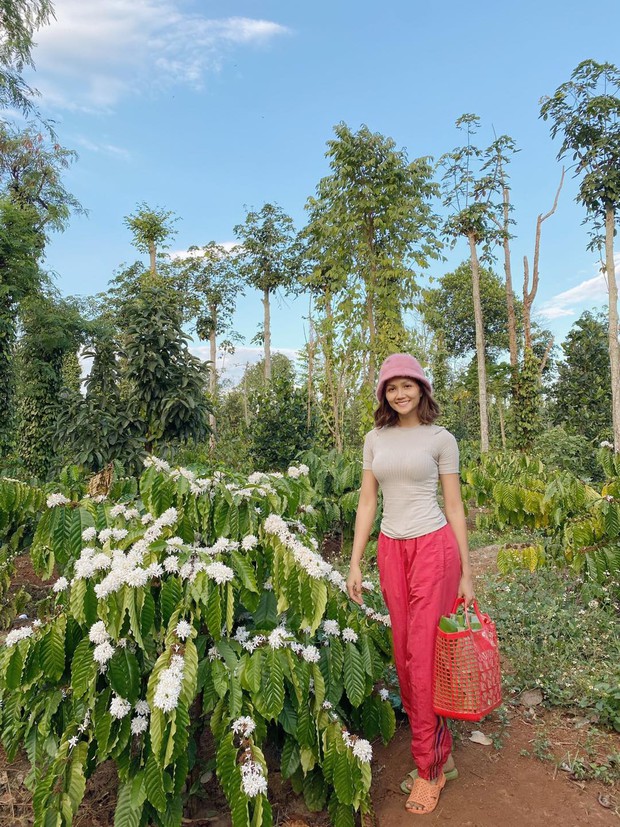 Sao Vbiz ngày 30 Tết: Trấn Thành và Hari Won tình tứ, dàn hậu trổ tài gái đảm, Hoàng Oanh - Thu Minh sum vầy ở Singapore - Ảnh 11.