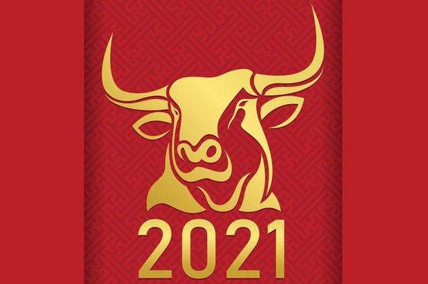 Chuyên gia phong thủy dự đoán 5 con giáp may mắn, 7 con giáp cần cẩn trọng trong năm Tân Sửu 2021, và một số việc cần làm để cả năm hanh thông - Ảnh 2.