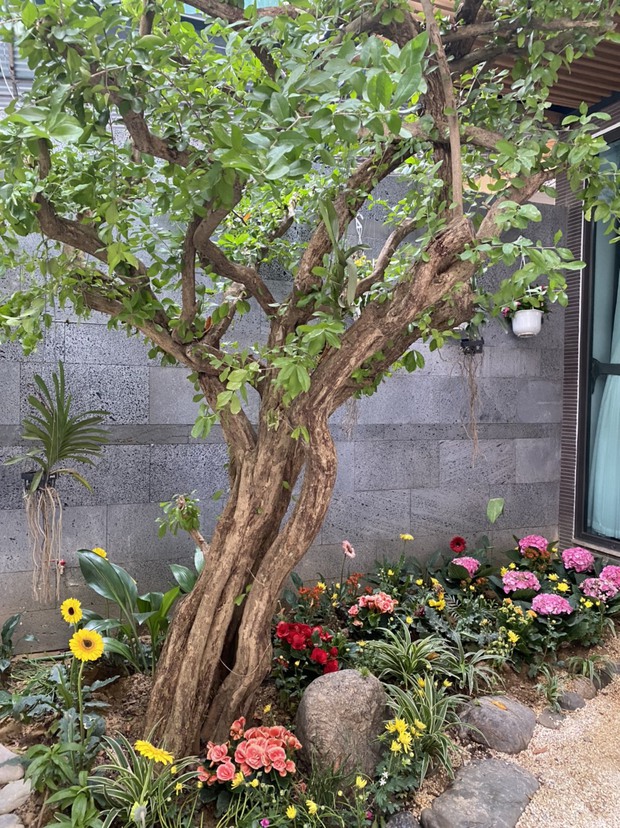 1 năm xây nhà 3 năm trả nợ - Ảnh 8.