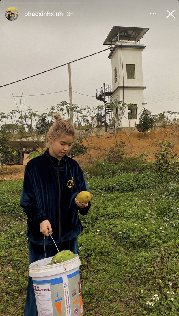 So ảnh ở nhà - ra đường ngày Tết, màn “cua gắt” của Pháo khiến dân tình trầm trồ - Ảnh 1.