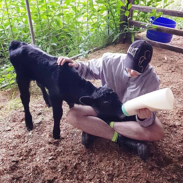 Chuyện đón Tết xứ người của cô dâu Việt lấy chồng Úc: Nhớ lắm hương vị quê nhà, bù lại được anh chồng Tây chạy đôn chạy đáo lo cho vợ cái Tết đầy đủ nhất - Ảnh 5.