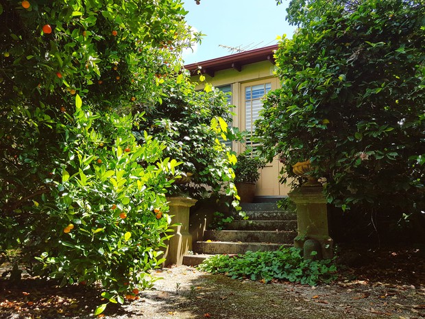 Chuyện đón Tết xứ người của cô dâu Việt lấy chồng Úc: Nhớ lắm hương vị quê nhà, bù lại được anh chồng Tây chạy đôn chạy đáo lo cho vợ cái Tết đầy đủ nhất - Ảnh 9.