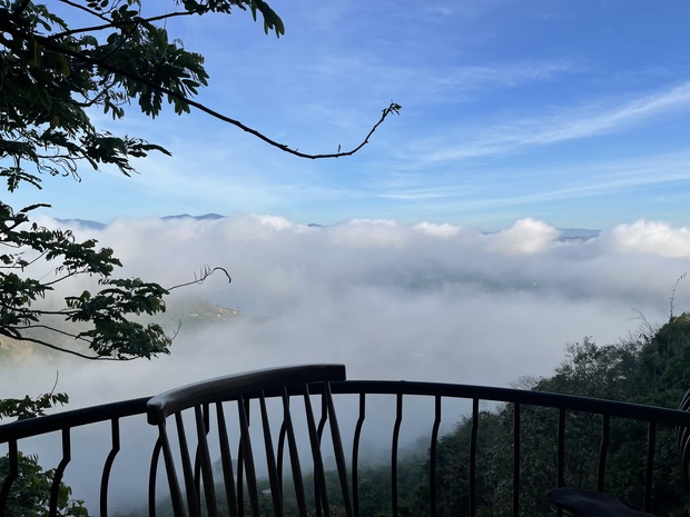 Vợ chồng NTK lặn lội lên cao nguyên Di Linh xây nhà tránh dịch, trồng hẳn 1000 gốc thông trên khuôn viên 2 hecta - Ảnh 21.