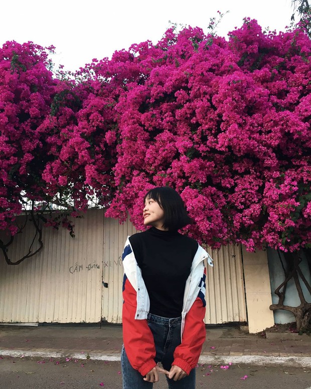 Paper flower truss "extreme" is causing a storm in Vung Tau because its blooming is so beautiful, people are racing to ask for addresses to check-in - Photo 9.