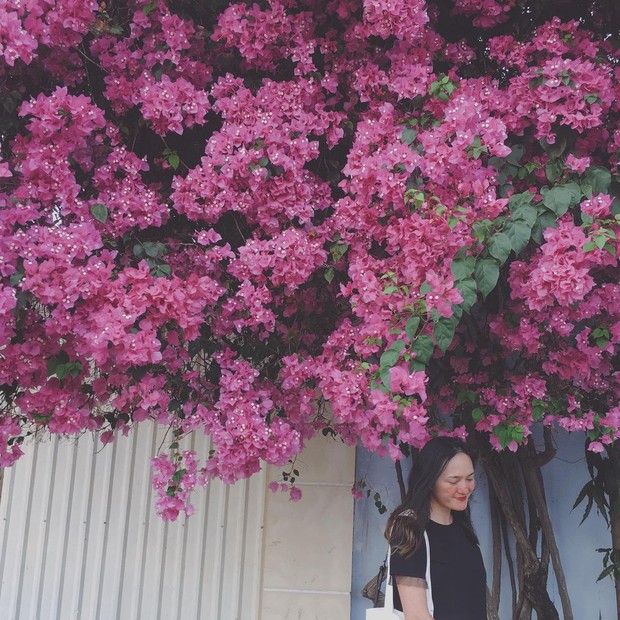 Paper flower truss "extreme" is causing a storm in Vung Tau because its blooming is so beautiful, people race to ask for addresses to check-in - Photo 14.