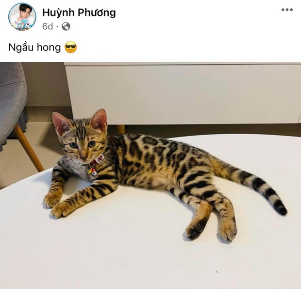Rộ tin đồn Huỳnh Phương có bạn gái mới, mối tình với nữ hoàng drama của Next Top đã kết thúc? - Ảnh 2. Rộ tin đồn Huỳnh Phương có bạn gái mới, mối tình với nữ hoàng drama của Next Top đã kết thúc? - Ảnh 2.