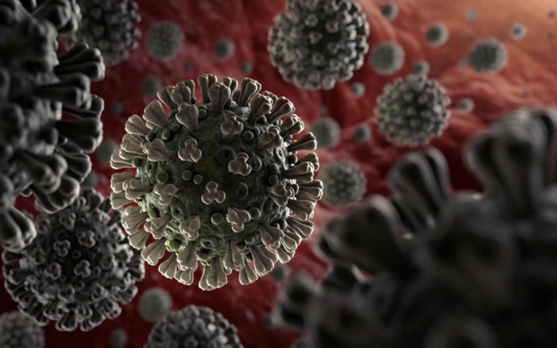 Ấn Độ phát hiện 2 biến thể đột biến cao của virus SARS-CoV-2 - Ảnh 1. Ấn Độ phát hiện 2 biến thể đột biến cao của virus SARS-CoV-2 - Ảnh 1.