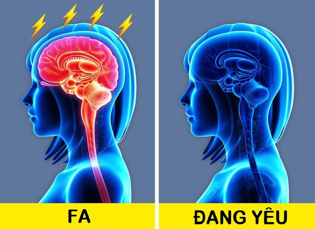 Cơ thể thay đổi thế nào khi chúng ta yêu? Tình yêu có tác động đến sức khỏe nhiều hơn bạn tưởng, nhưng không phải lúc nào cũng tích cực  - Ảnh 2.