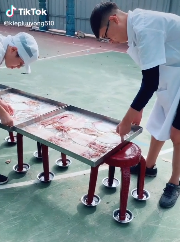 Nhìn sàng mực khô hấp dẫn vô cùng, nhưng hàng chục bát nước kỳ lạ dưới chân ghế mới khiến nhiều người thắc mắc - Ảnh 2. Nhìn sàng mực khô hấp dẫn vô cùng, nhưng hàng chục bát nước kỳ lạ dưới chân ghế mới khiến nhiều người thắc mắc - Ảnh 2.