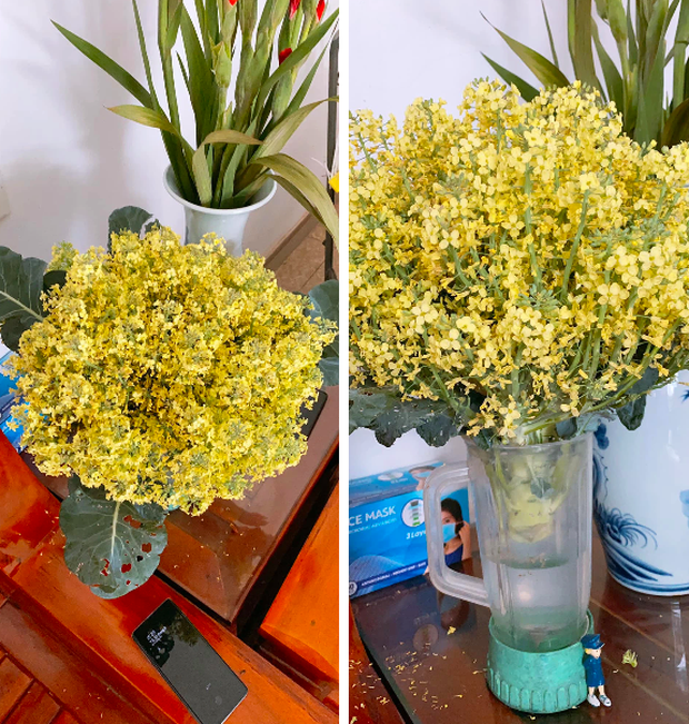 Những bình hoa rực rỡ giá chỉ vài chục nghìn đang thành trend trên MXH, tất thảy là do khổ chủ quên “đem xào thịt bò” - Ảnh 2. Những bình hoa rực rỡ giá chỉ vài chục nghìn đang thành trend trên MXH, tất thảy là do khổ chủ quên “đem xào thịt bò” - Ảnh 2.