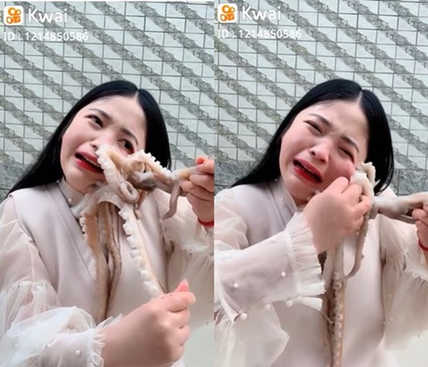 Những chú bạch tuộc “nổi loạn” trên bàn ăn: Tấn công streamer chảy cả máu, tự nhảy vào nồi lẩu kết liễu đời mình - Ảnh 1. Những chú bạch tuộc “nổi loạn” trên bàn ăn: Tấn công streamer chảy cả máu, tự nhảy vào nồi lẩu kết liễu đời mình - Ảnh 1.