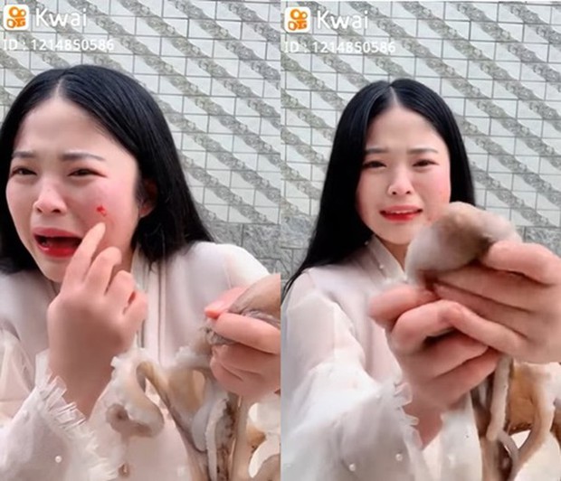 Những chú bạch tuộc “nổi loạn” trên bàn ăn: Tấn công streamer chảy cả máu, tự nhảy vào nồi lẩu kết liễu đời mình - Ảnh 2. Những chú bạch tuộc “nổi loạn” trên bàn ăn: Tấn công streamer chảy cả máu, tự nhảy vào nồi lẩu kết liễu đời mình - Ảnh 2.