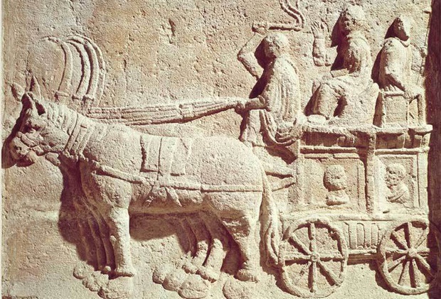 Mày mò tìm kiếm ở thành phố diệt vong Pompeii, các nhà khoa học sửng sốt khi khám phá ra thứ độc nhất vô nhị vô cùng quý giá - Ảnh 6.